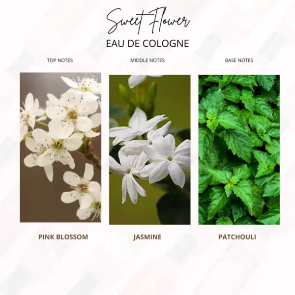 Sweet Flower - Gambar 5