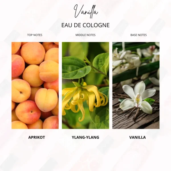 Vanilla - Gambar 5