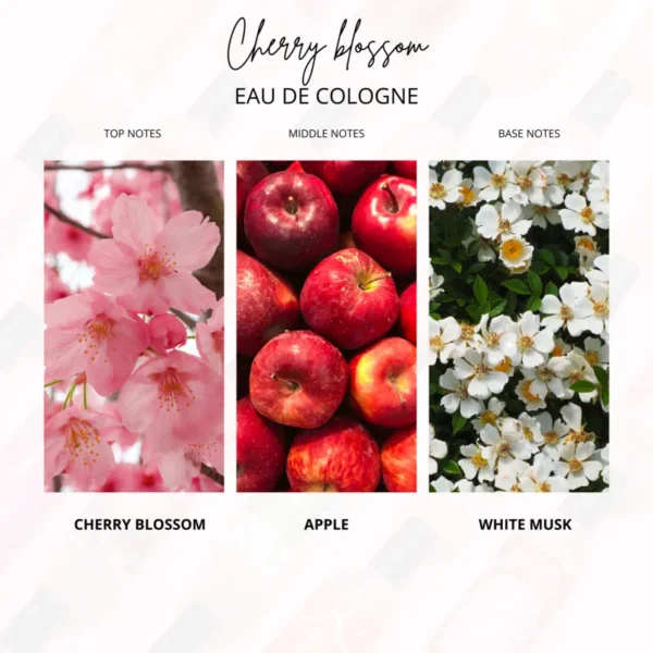 Cherry Blossom - Gambar 5