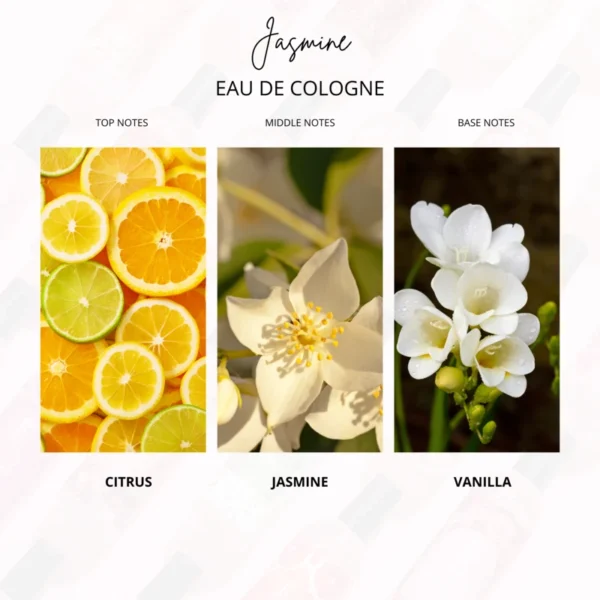 Night Jasmine - Gambar 5