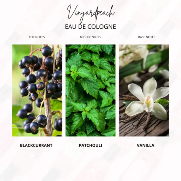 Vinyard Peach - Gambar 5